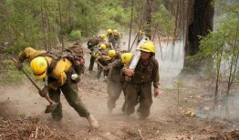 云南爆料野外消防事件最新,紧急救援与生态守护的较量